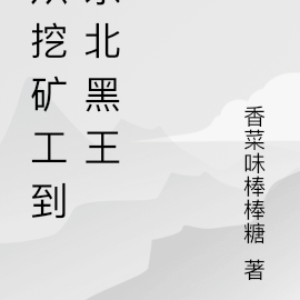 从挖矿工到东北黑王