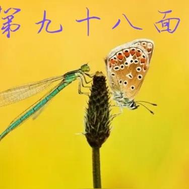 第九十八面