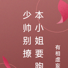 少帅别撩，本小姐要跑