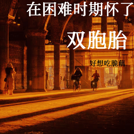 穿书60：在困难时期怀了双胞胎