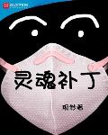 灵魂补丁
