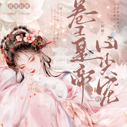 清穿红楼：卷王皇帝的心尖宠