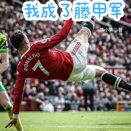 足球：重生曼联，我成了藤甲军