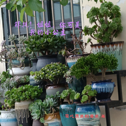 拜托！姐姐，你可是我的小公主