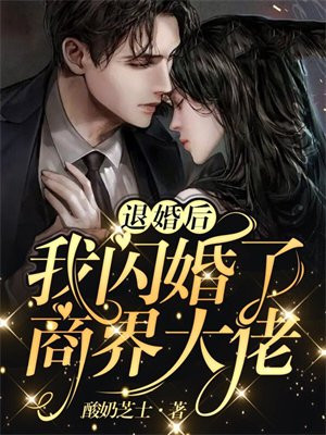 退婚后我闪婚了商界大佬