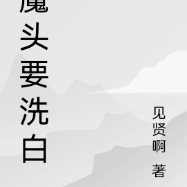 魔头要洗白