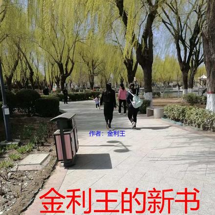 金利王的新书