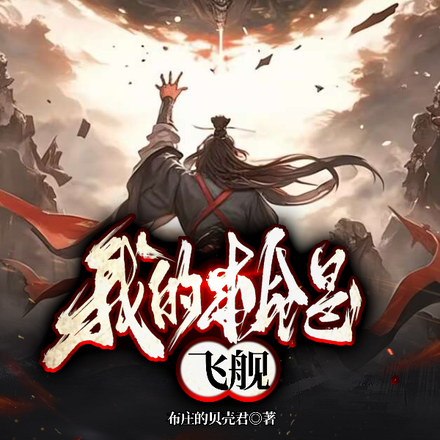 我的本命是飞舰