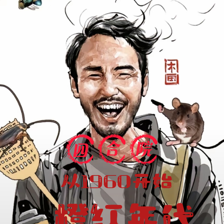 四合院：从1960开始橙红年代