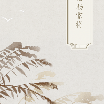 白话杨家将