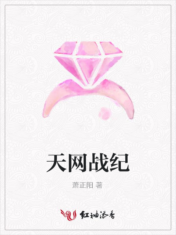 天网战纪