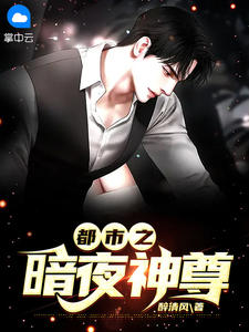 都市之暗夜神尊