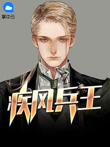 疾风兵王