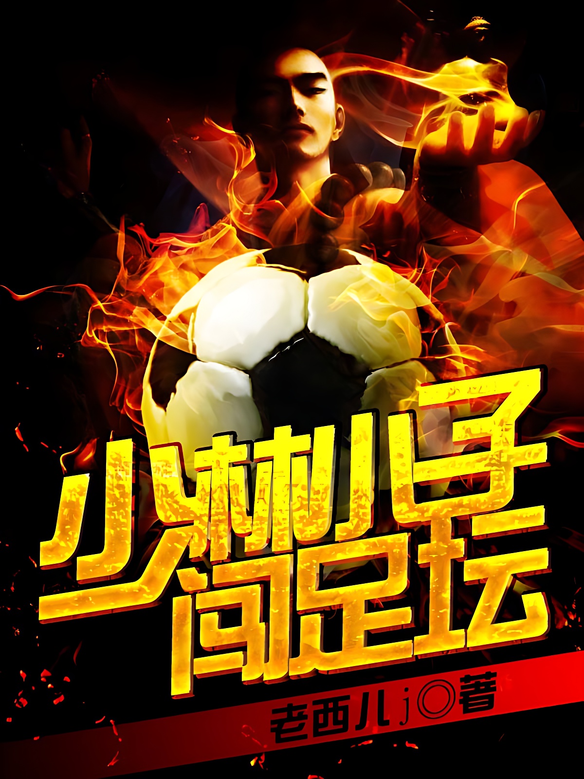 少林小子闯足坛