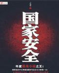 国家安全