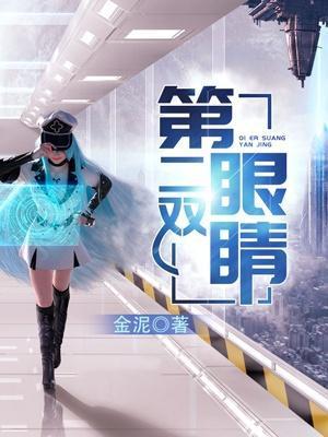 第二双眼睛