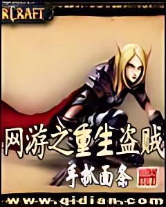网游之重生盗贼