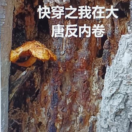 快穿之我在大唐反内卷