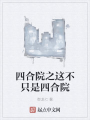 四合院之这不只是四合院