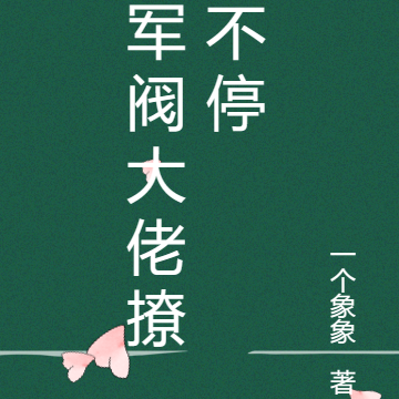 军阀大佬撩不停