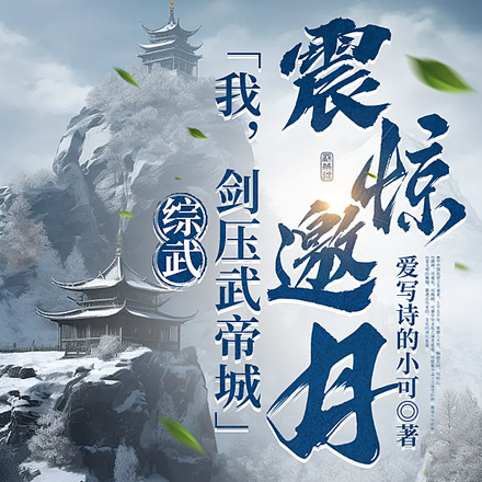 综武：我，剑压武帝城，震惊邀月