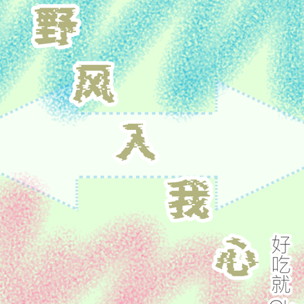 野风入我心