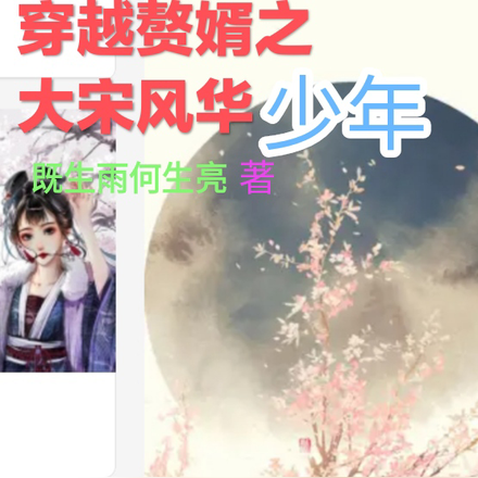 穿越赘婿之大宋风华少年