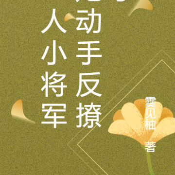 i人小将军她动手反撩了