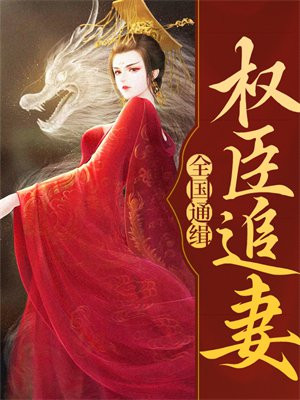 权臣追妻，全国通缉