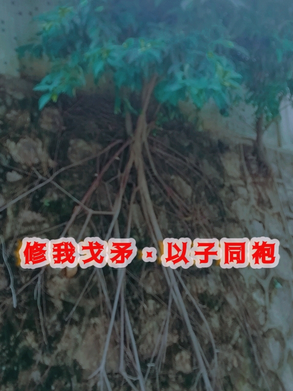 修我戈矛与子同袍