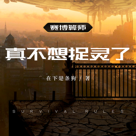 赛博算师，真不想捉灵了！