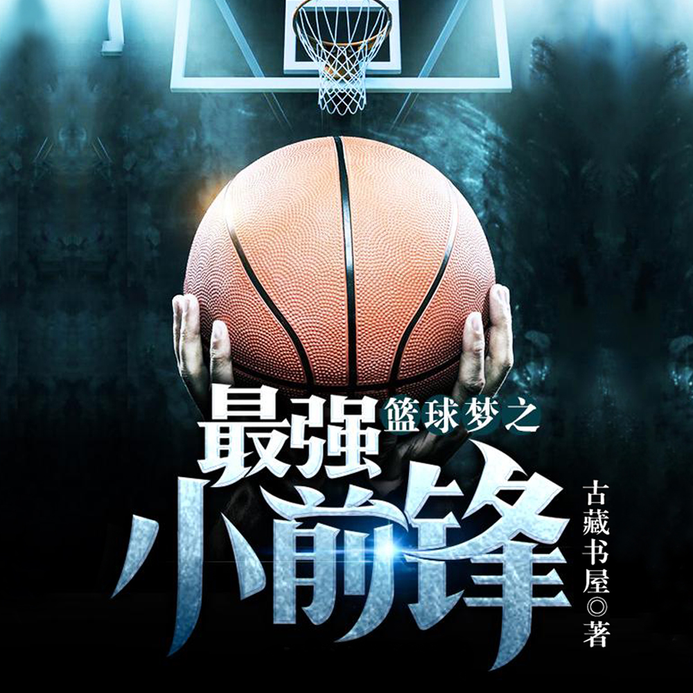 著名篮球小前锋