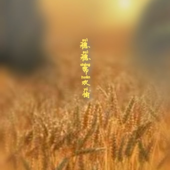 穗穗常欢