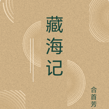 藏海记