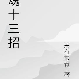 魂十三招