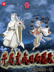 我的忍道就是花里胡哨