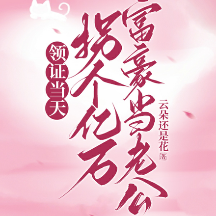 领证当天拐个亿万富豪当老公