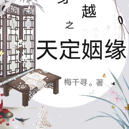 穿越之天定姻缘