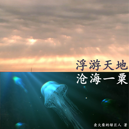 蜉蝣天地沧海一粟