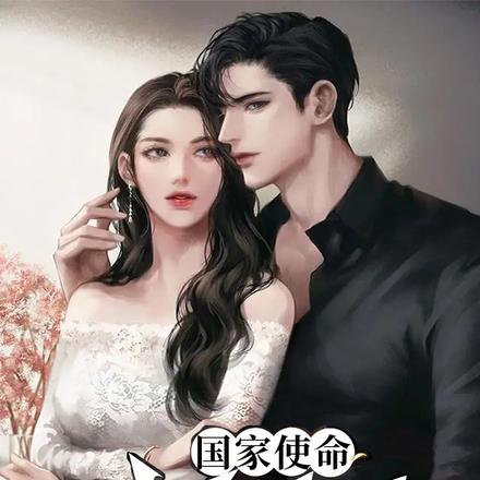 国家使命：我在老婆身边当卧底
