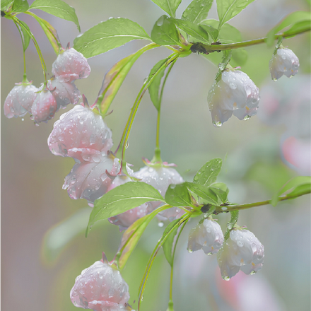 攻略错任务对象后