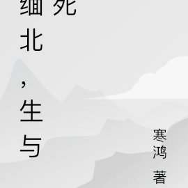 缅北，生与死