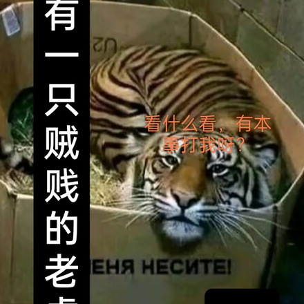 我有一只贼贱的老虎