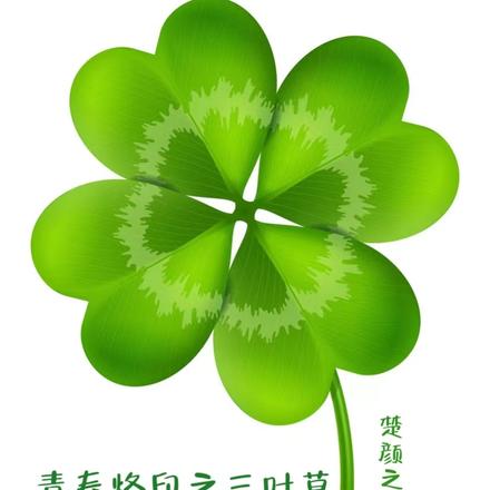 青春烙印之三叶草