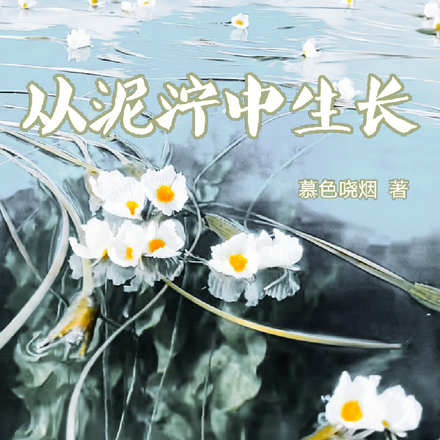 从泥泞中生长
